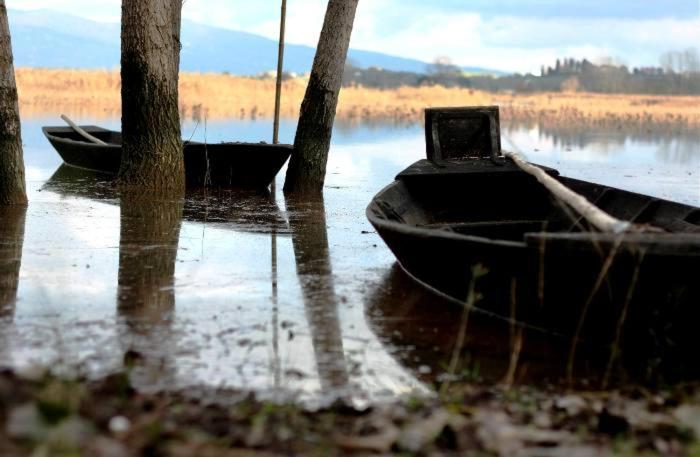 酒店 Agriturismo Podere Dei Kiwi