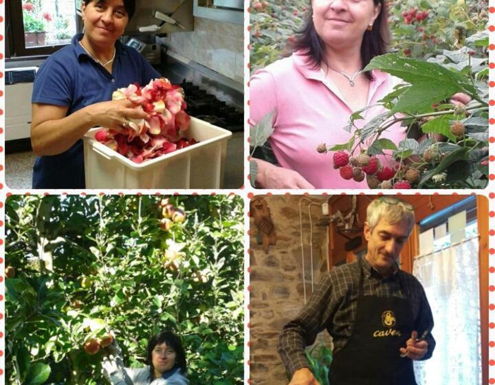 Отель Agriturismo Ribuntà