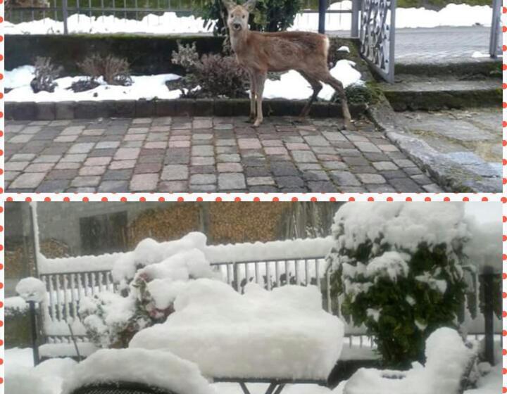 Отель Agriturismo Ribuntà