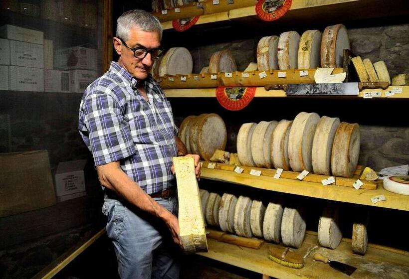 Отель Agriturismo Ribuntà