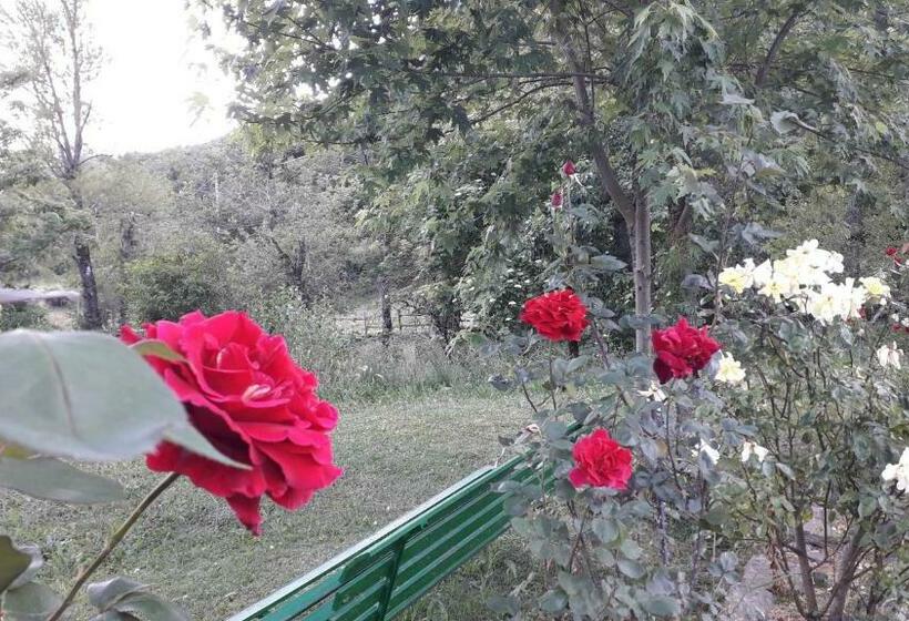 فندق Agriturismo Rio Ricco