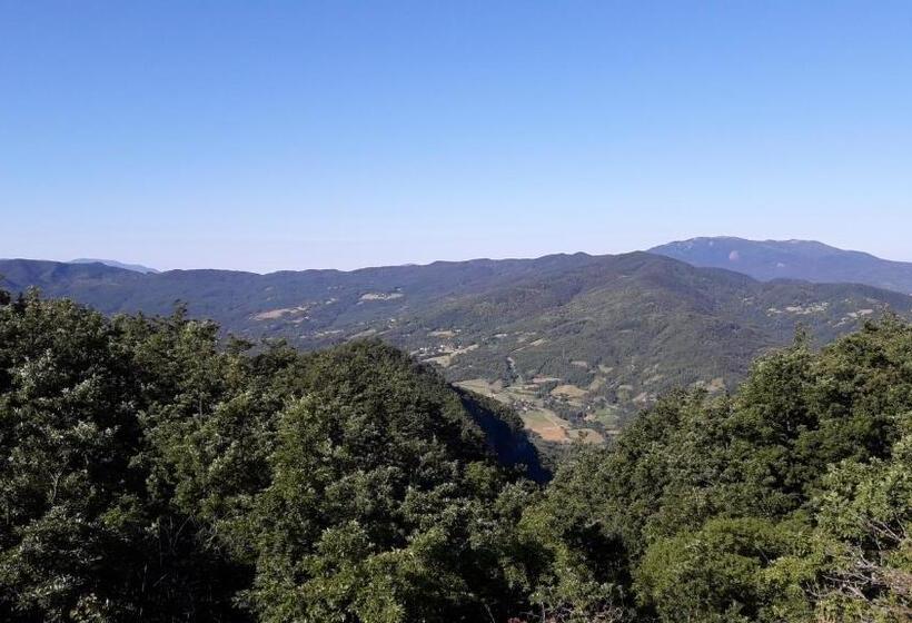فندق Ca  D Alfieri