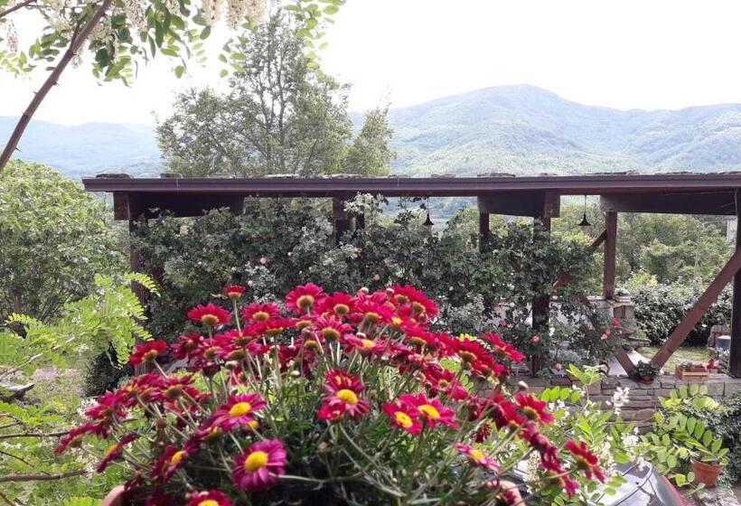 בית מלון כפרי Ca  D Alfieri