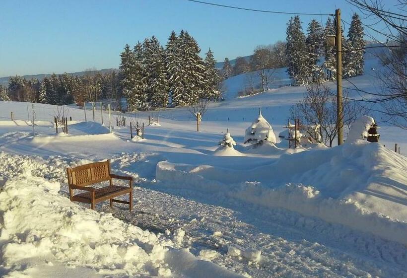 Отель Haus Bergpanorama