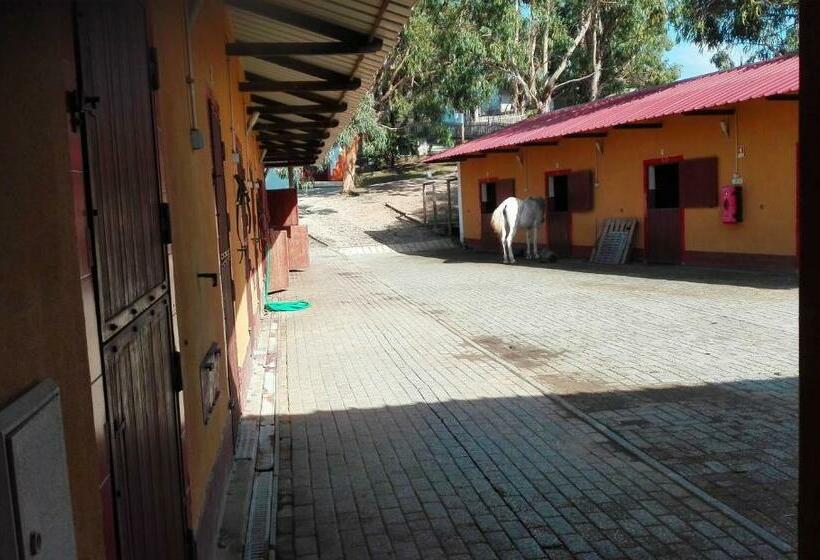 ホテル Herdade Da Hera