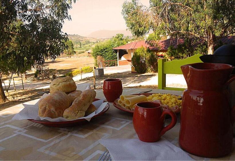 ホテル Herdade Da Hera