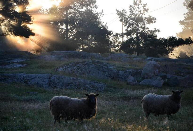 בית מלון כפרי Nestor & Restaurant Back Pocket
