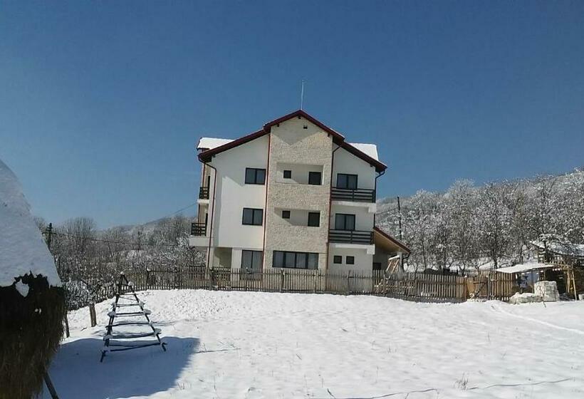 Отель Pensiunea Drumul Voievozilor