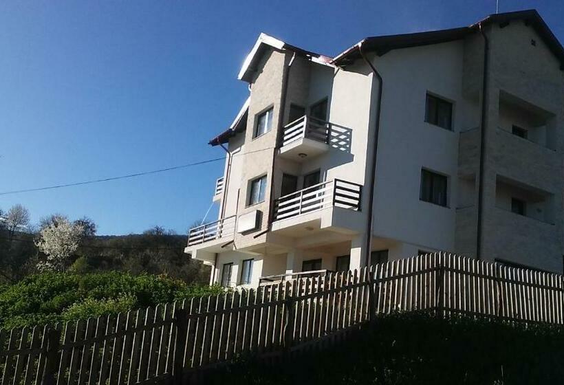 Отель Pensiunea Drumul Voievozilor