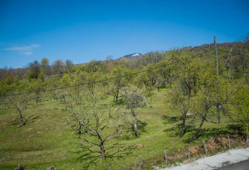 Отель Pensiunea Drumul Voievozilor