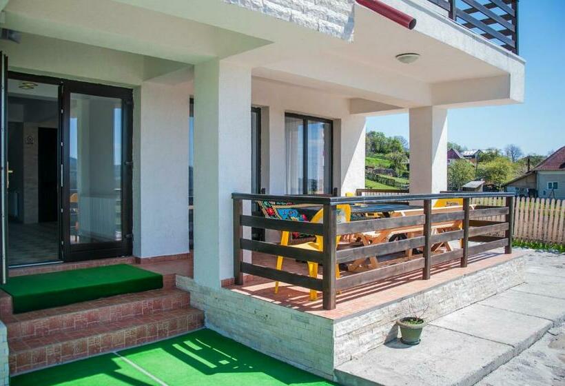 Отель Pensiunea Drumul Voievozilor