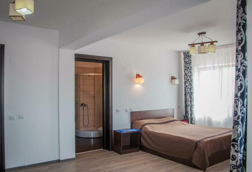 Отель Pensiunea Drumul Voievozilor