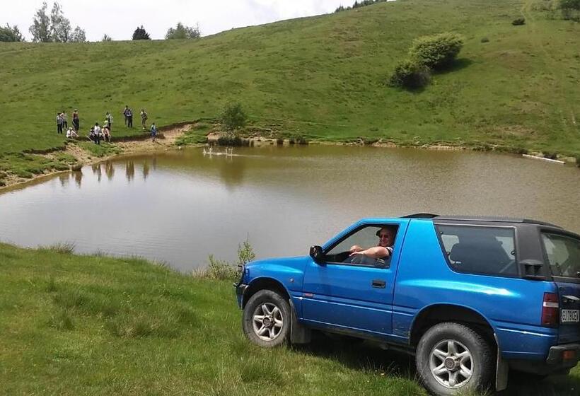 Отель Pensiunea Drumul Voievozilor