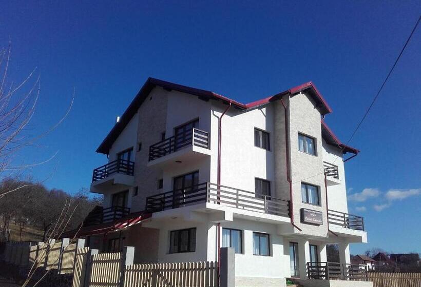 Отель Pensiunea Drumul Voievozilor