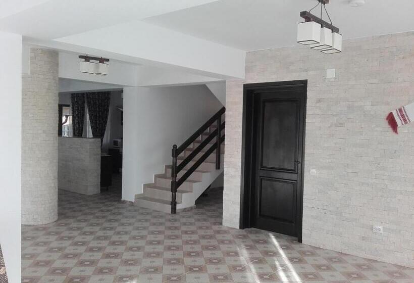 Отель Pensiunea Drumul Voievozilor