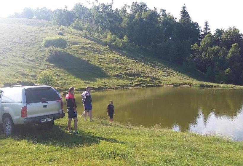 Отель Pensiunea Drumul Voievozilor