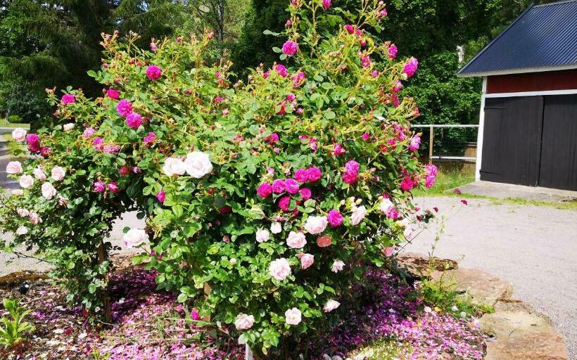 Kinne Vedum Bed And Breakfast