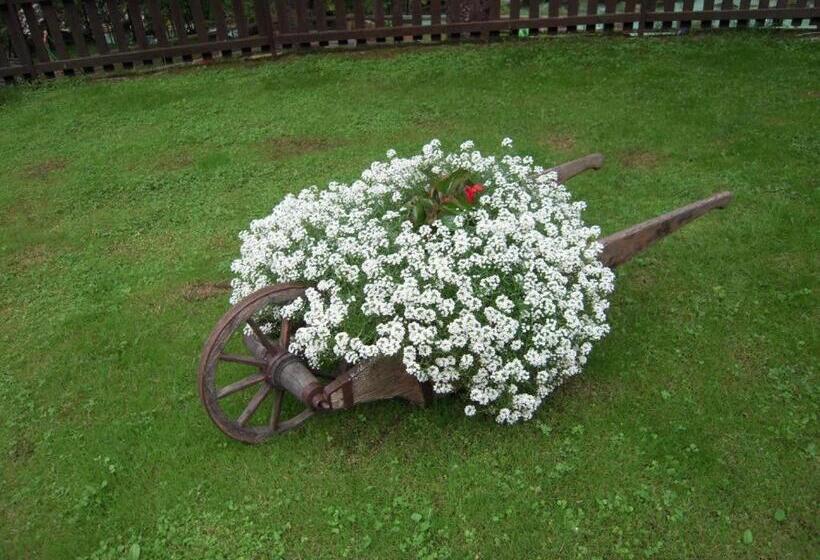 پانسیون Apartmaji In Sobe Cuder