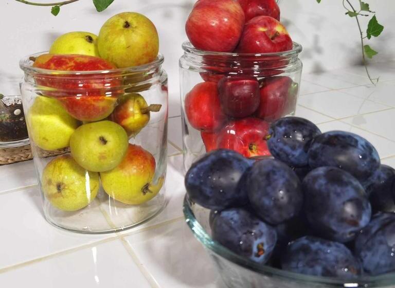 Пансион Delta Ca Odinioara