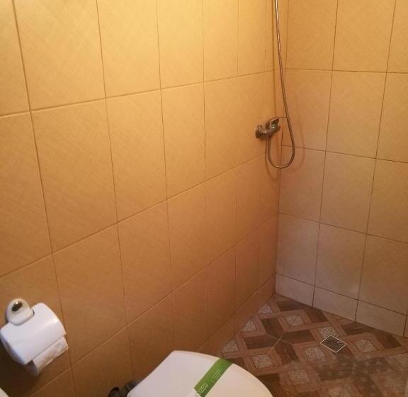 Пансион Delta Ca Odinioara