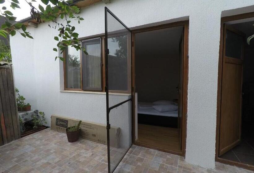 Пансион Delta Ca Odinioara