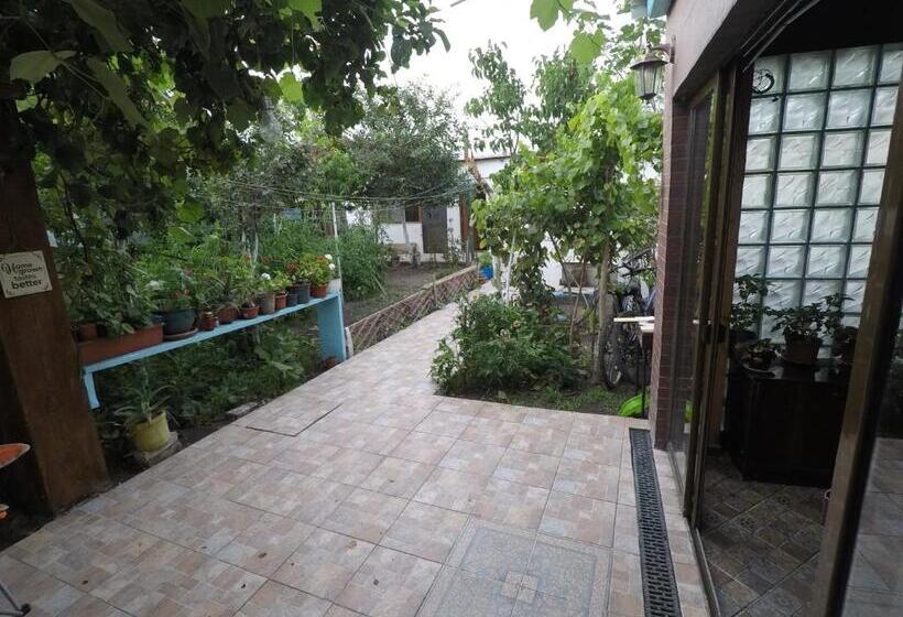 Пансион Delta Ca Odinioara