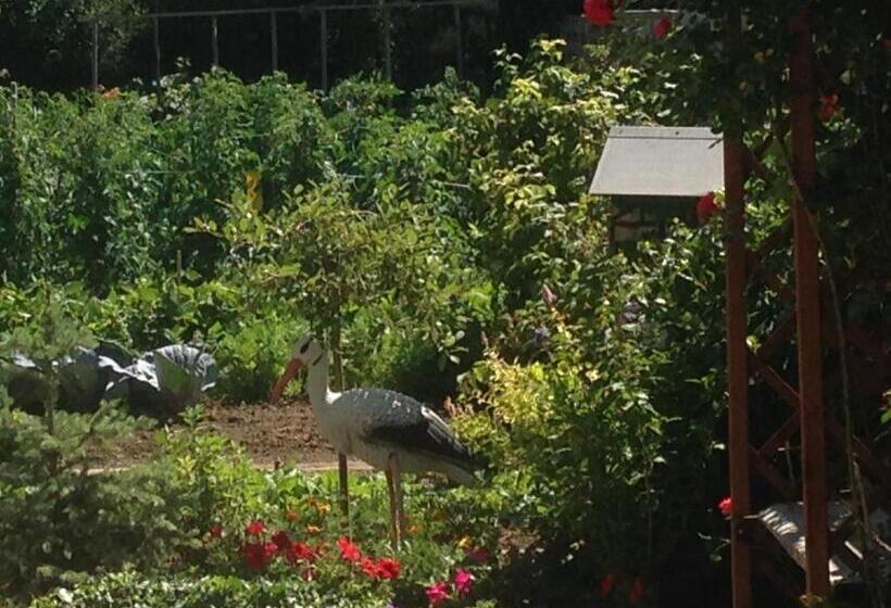 펜션 Eden Des Choux