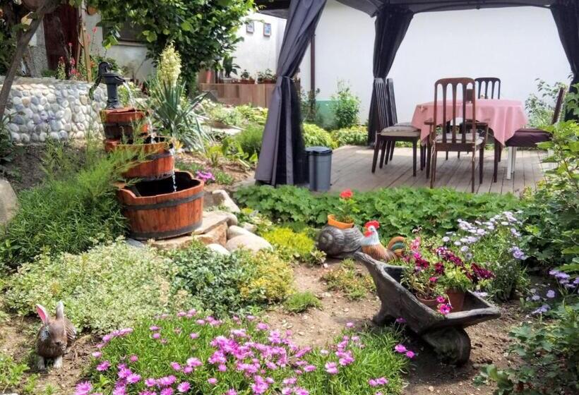 بنسيون Guest House Milka