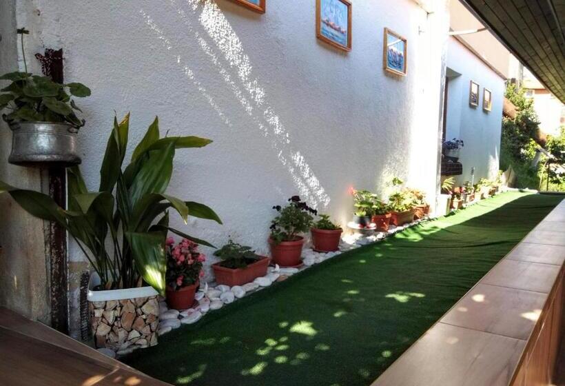 بنسيون Guest House Milka