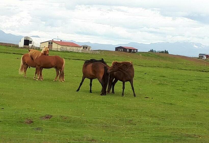 پانسیون Guest House Svetlana