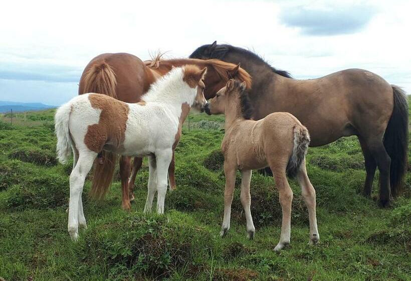 پانسیون Guest House Svetlana