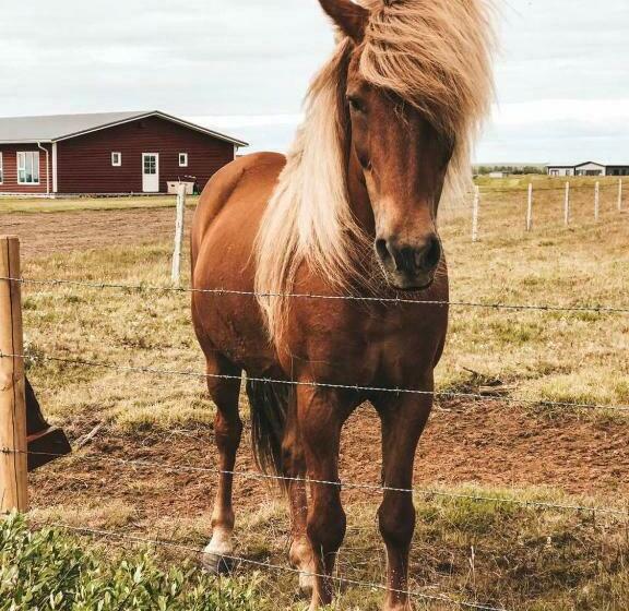 پانسیون Guest House Svetlana