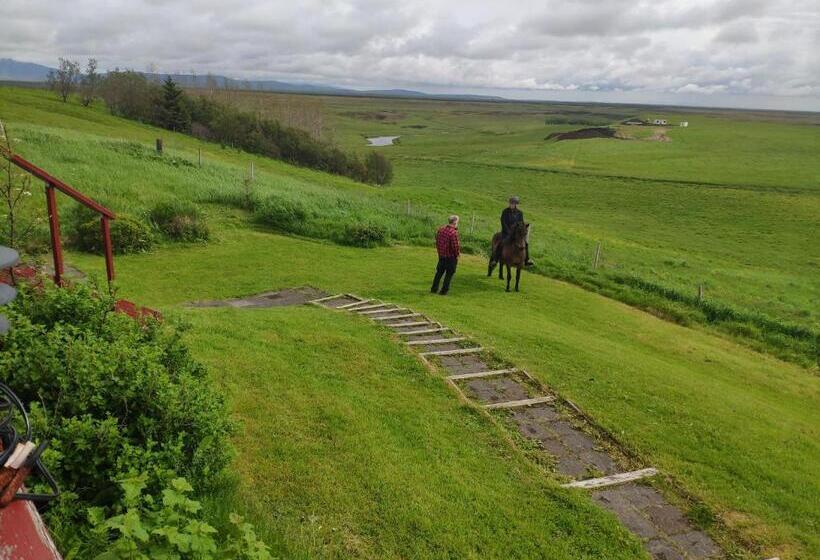 پانسیون Guest House Svetlana