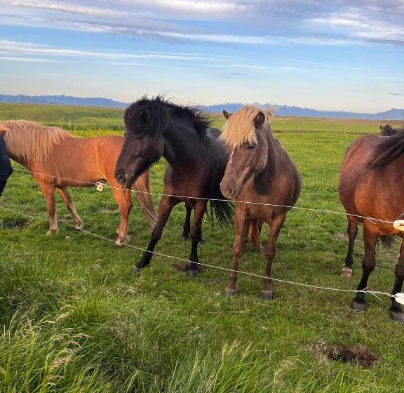 پانسیون Guest House Svetlana