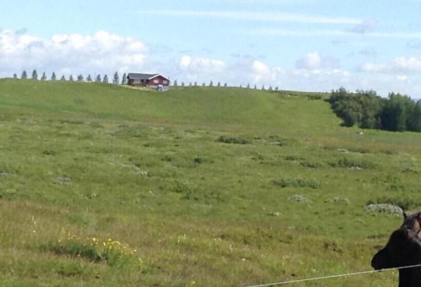 پانسیون Guest House Svetlana