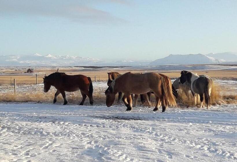 پانسیون Guest House Svetlana