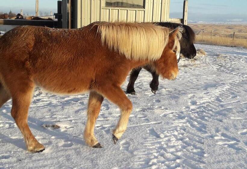 پانسیون Guest House Svetlana