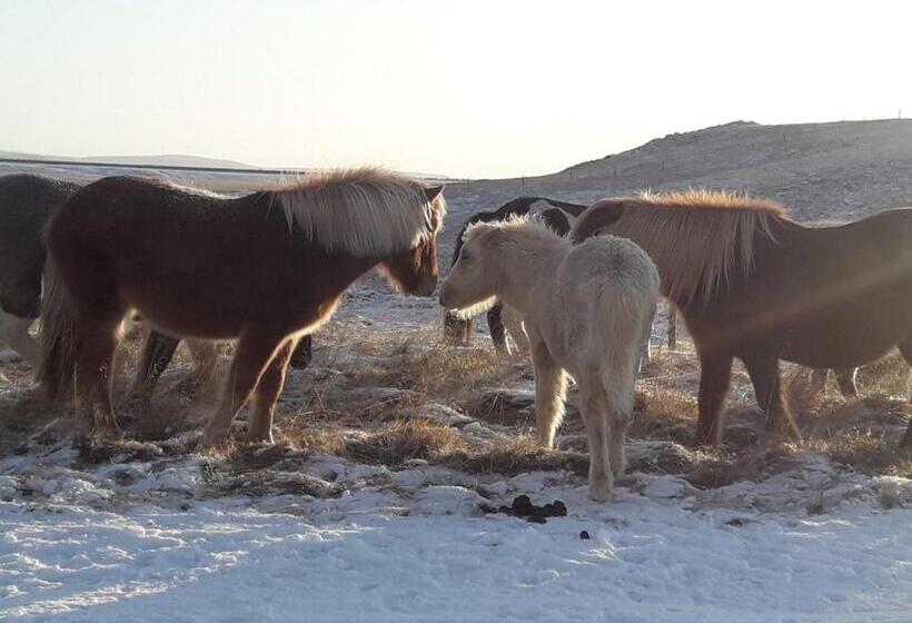 پانسیون Guest House Svetlana