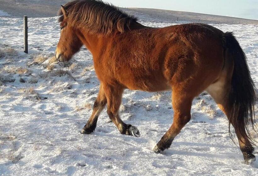 پانسیون Guest House Svetlana