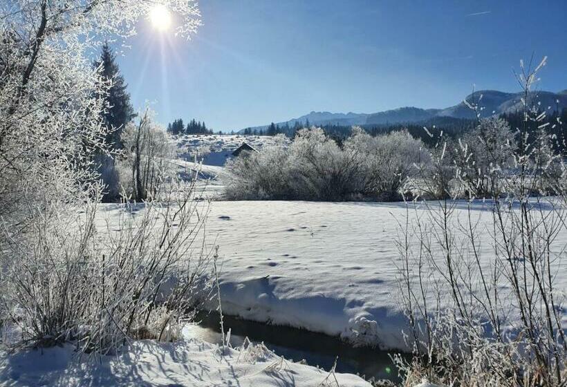 ペンション Haus Karina