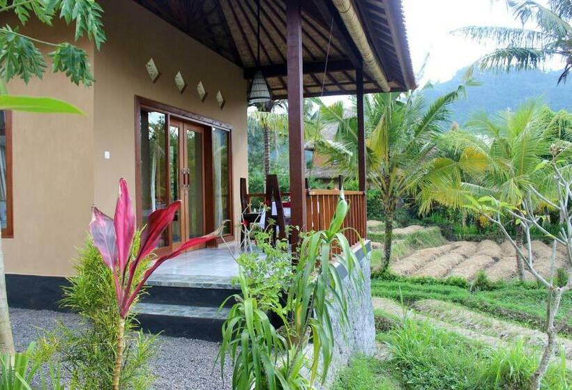 פנסיון Maha Neka Villa