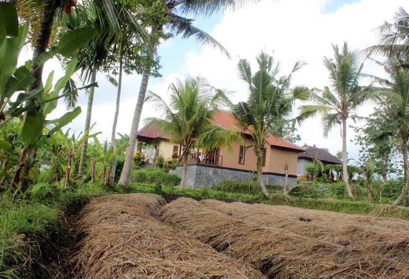 פנסיון Maha Neka Villa