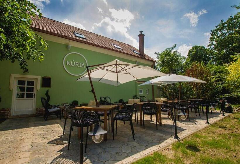 Пансион Penzión Kúria