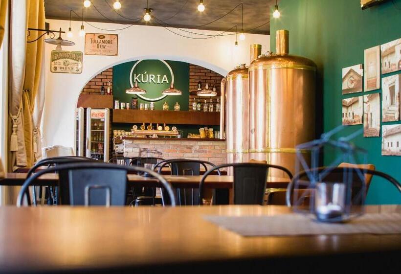 Пансион Penzión Kúria