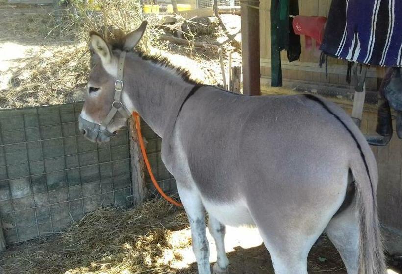 פנסיון Poggio Delle Capre