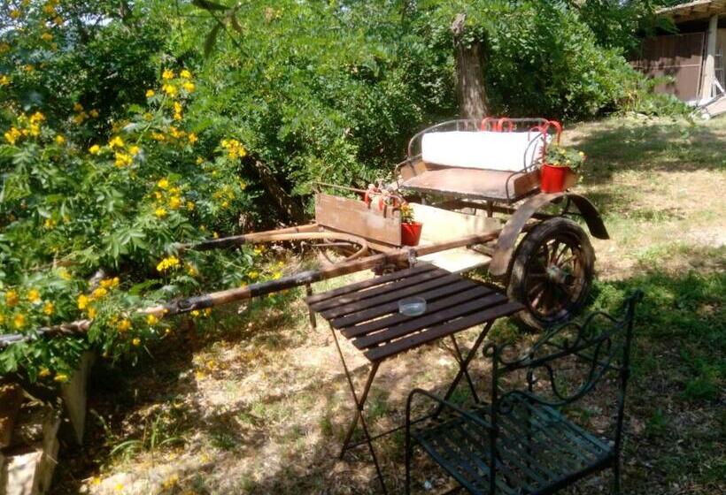 פנסיון Poggio Delle Capre