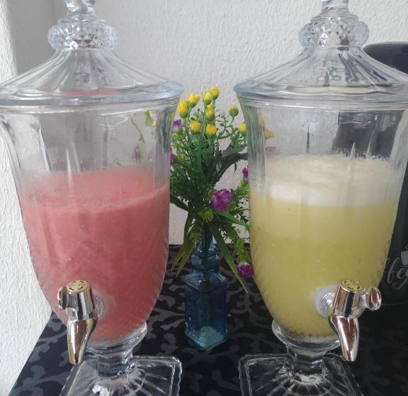 ペンション Pousada Executiva