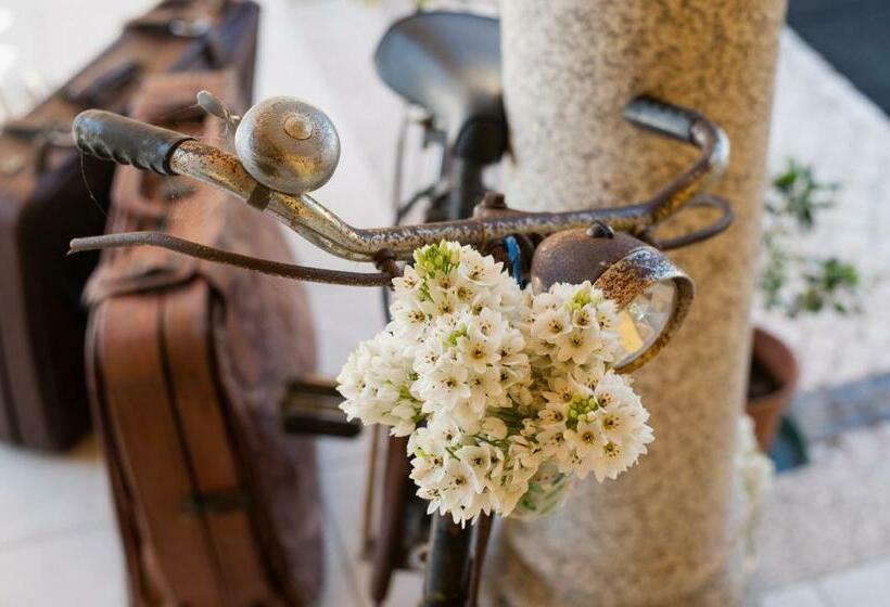 بنسيون Quinta Salinas   Puro Prazer