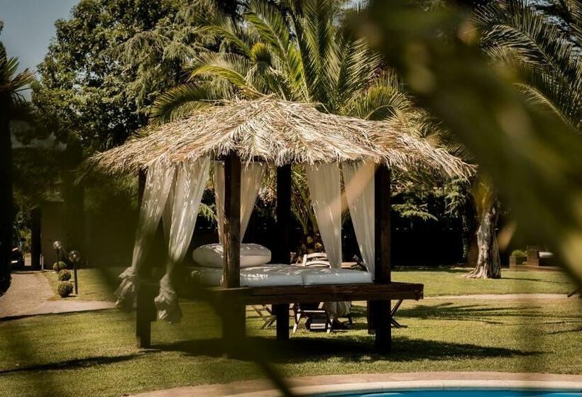 פנסיון Villa Iulia