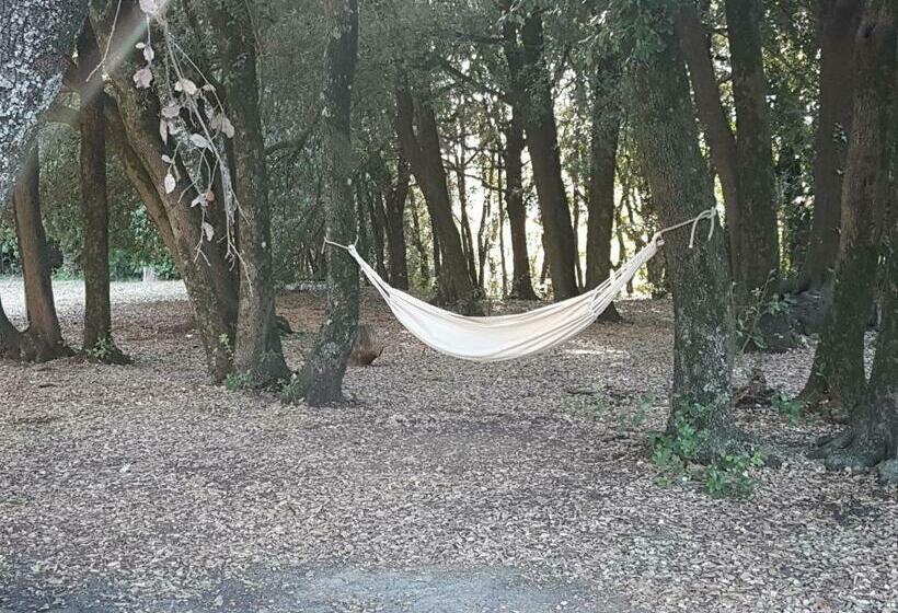 Общежитие Locanda Il Boschetto